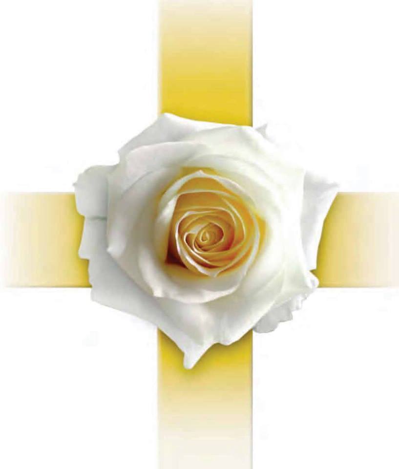 slider image 1
