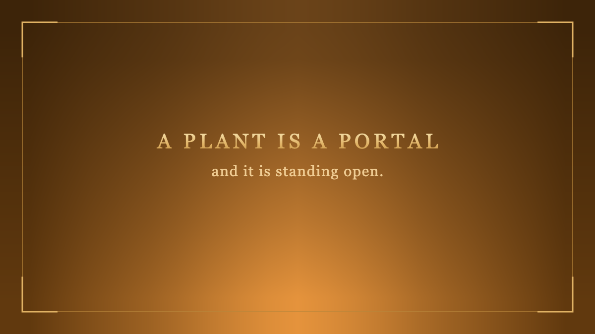 021 The Spirituality of Plants